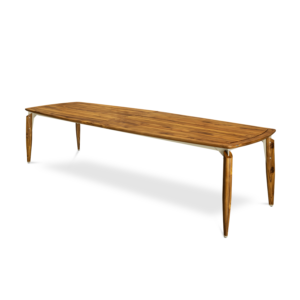 Mesa Raiz